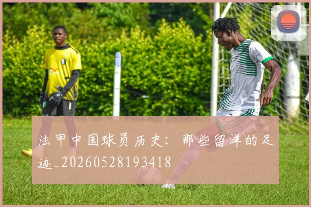 法甲中国球员历史：那些留洋的足迹_20260528193418